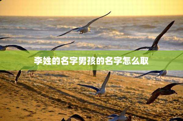 李姓的名字男孩的名字怎么取