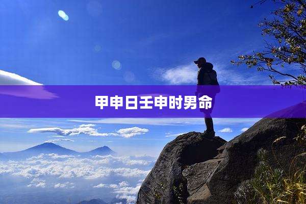 甲申日壬申时男命