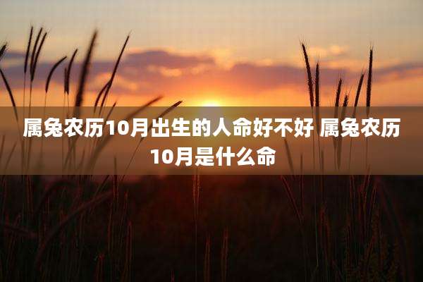 属兔农历10月出生的人命好不好 属兔农历10月是什么命