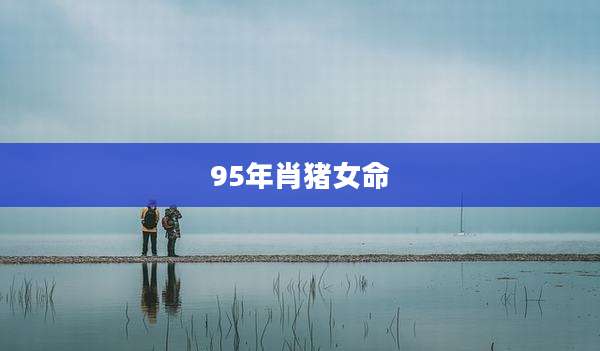 95年肖猪女命