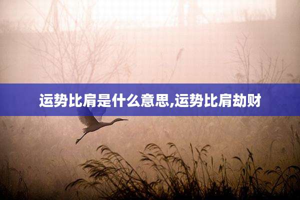 运势比肩是什么意思,运势比肩劫财
