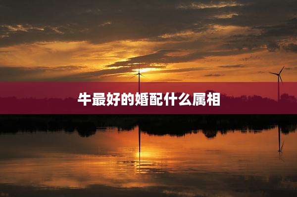 牛最好的婚配什么属相
