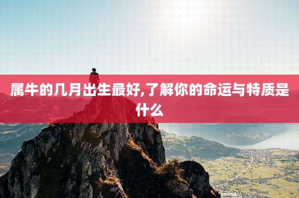 属牛的几月出生最好,了解你的命运与特质是什么
