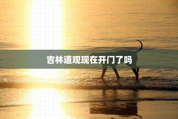 吉林道观现在开门了吗