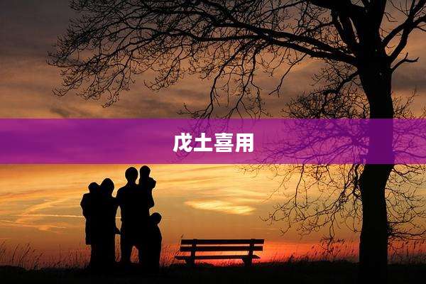 戊土喜用