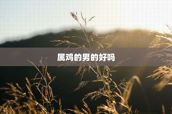 属鸡的男的好吗