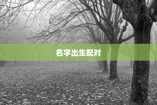 名字出生配对