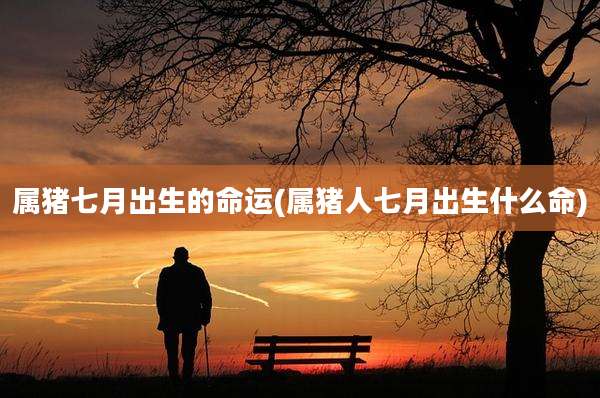 属猪七月出生的命运(属猪人七月出生什么命)