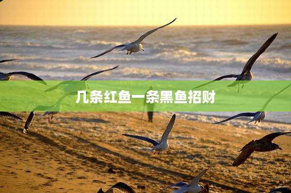 几条红鱼一条黑鱼招财