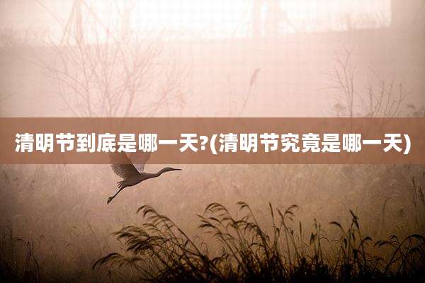 清明节到底是哪一天?(清明节究竟是哪一天)