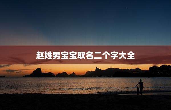 赵姓男宝宝取名二个字大全