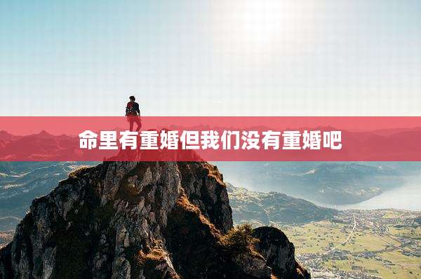 命里有重婚但我们没有重婚吧