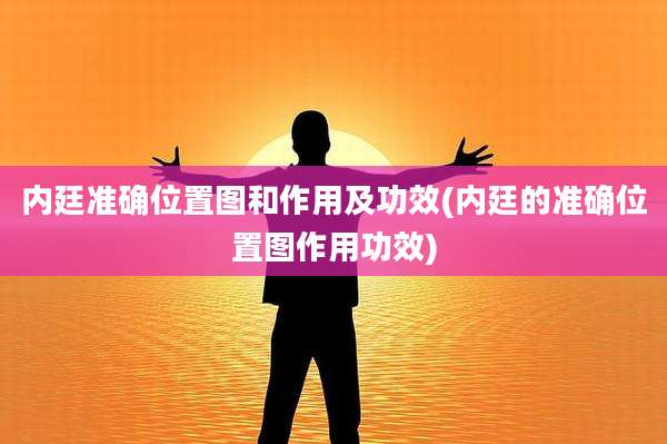 内廷准确位置图和作用及功效(内廷的准确位置图作用功效)