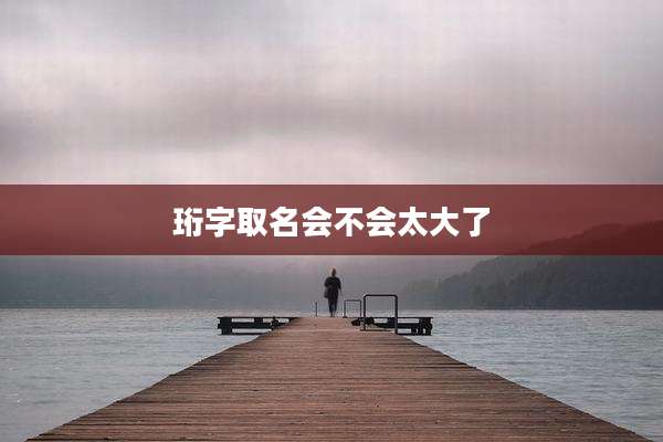 珩字取名会不会太大了