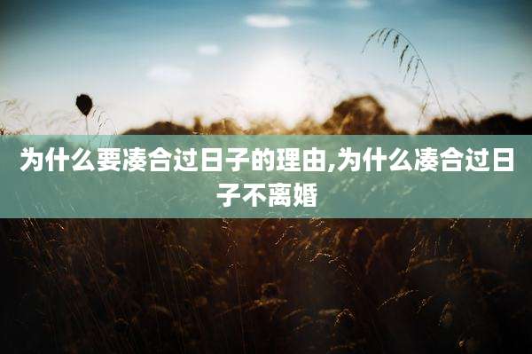 为什么要凑合过日子的理由,为什么凑合过日子不离婚