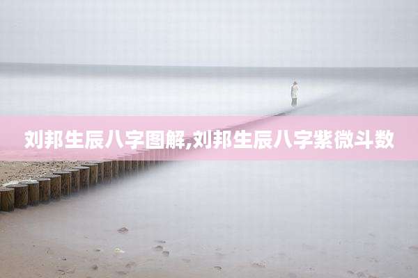 刘邦生辰八字图解,刘邦生辰八字紫微斗数