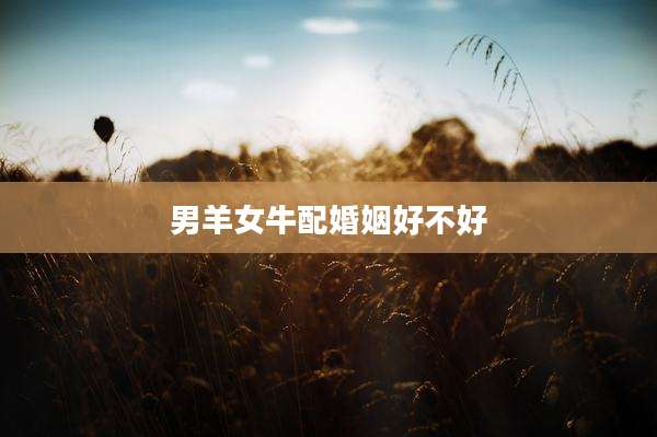 男羊女牛配婚姻好不好