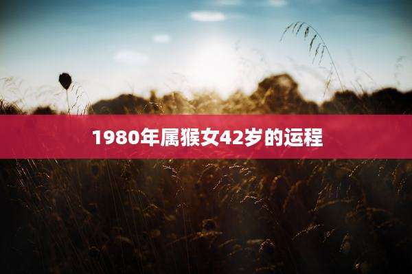 1980年属猴女42岁的运程