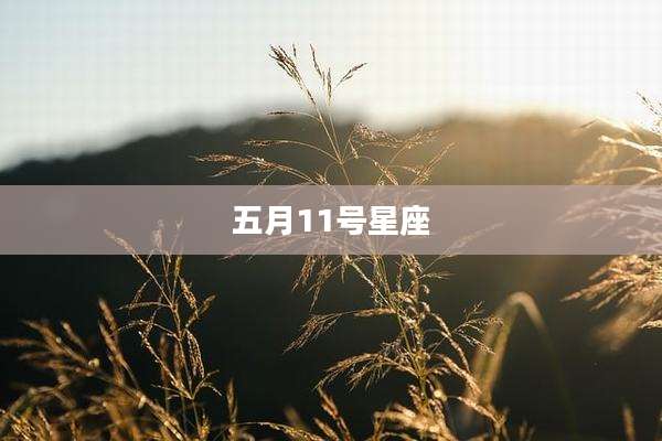 五月11号星座