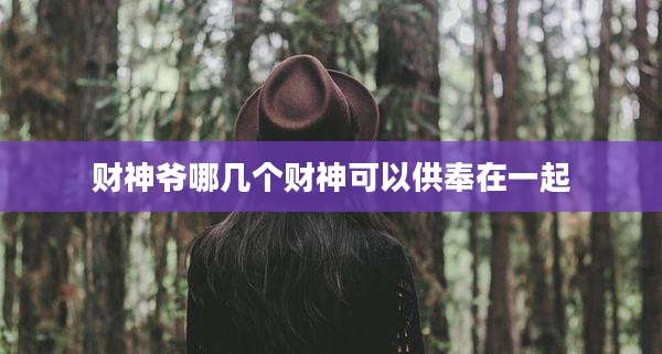 财神爷哪几个财神可以供奉在一起
