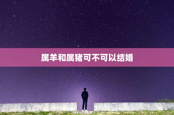 属羊和属猪可不可以结婚