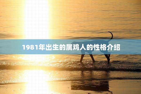 1981年出生的属鸡人的性格介绍