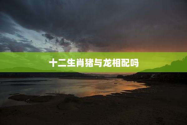 十二生肖猪与龙相配吗