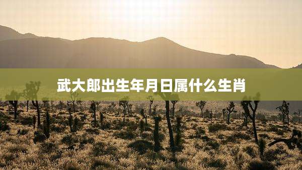 武大郎出生年月日属什么生肖