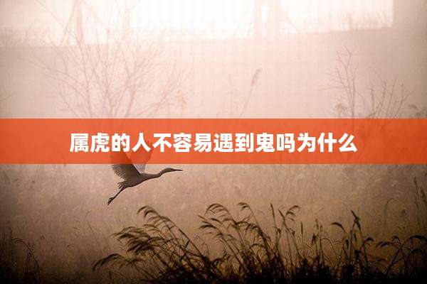 属虎的人不容易遇到鬼吗为什么