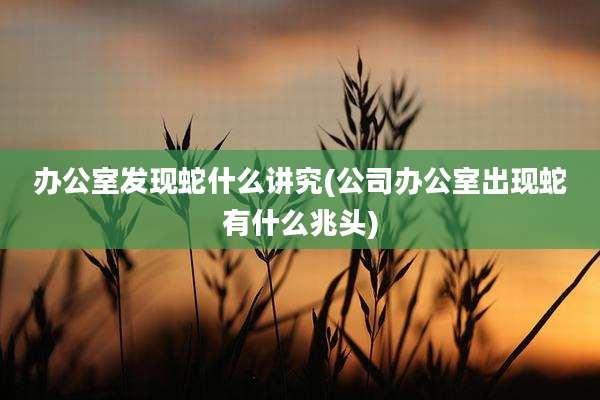 办公室发现蛇什么讲究(公司办公室出现蛇有什么兆头)