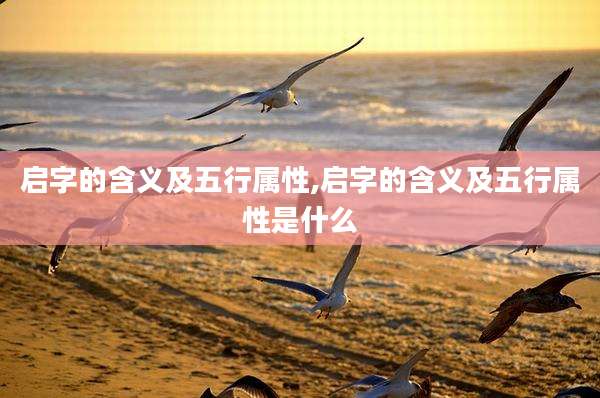 启字的含义及五行属性,启字的含义及五行属性是什么