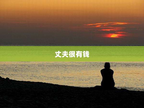 丈夫很有钱