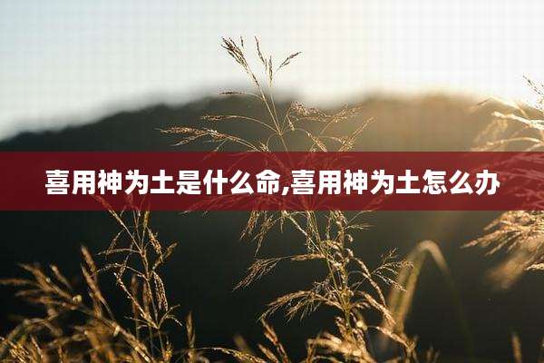 喜用神为土是什么命,喜用神为土怎么办