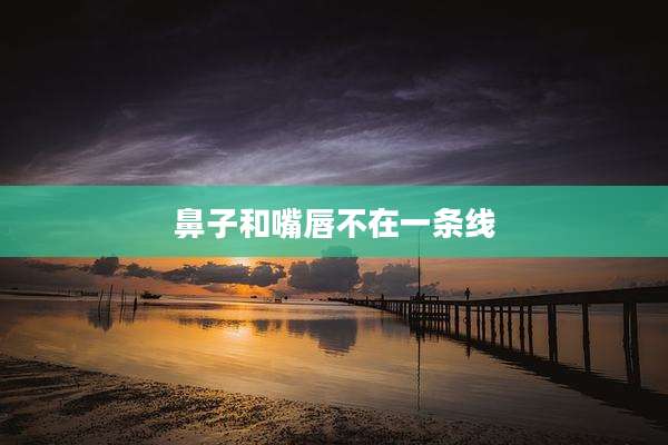 鼻子和嘴唇不在一条线