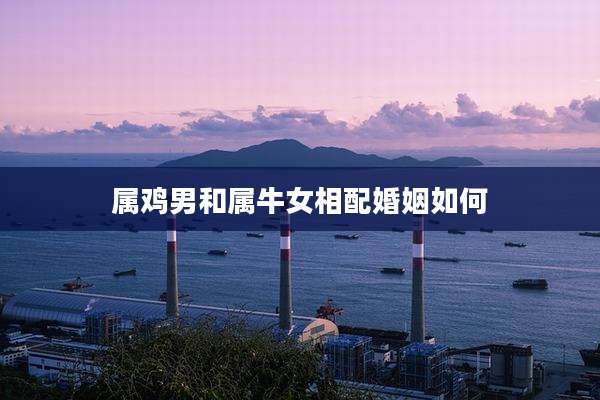 属鸡男和属牛女相配婚姻如何