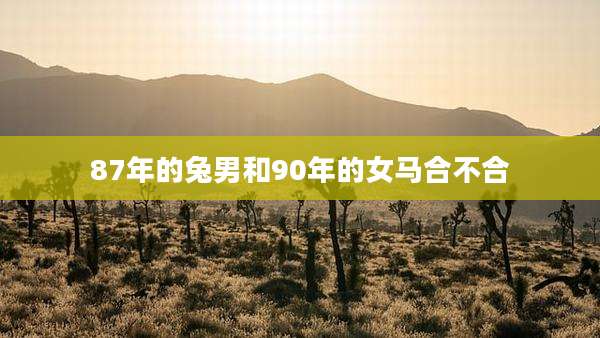 87年的兔男和90年的女马合不合