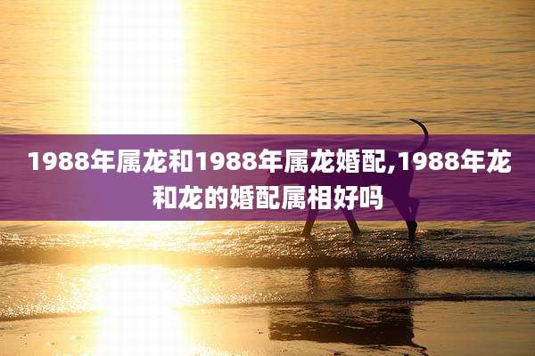 1988年属龙和1988年属龙婚配,1988年龙和龙的婚配属相好吗