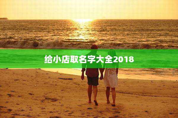 给小店取名字大全2018