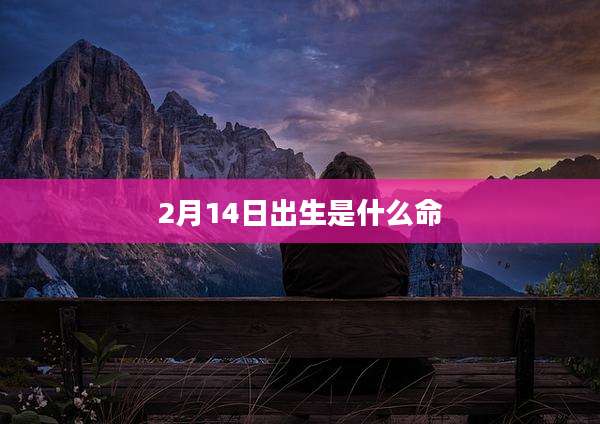 2月14日出生是什么命