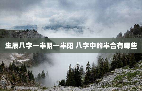 生辰八字一半阴一半阳 八字中的半合有哪些
