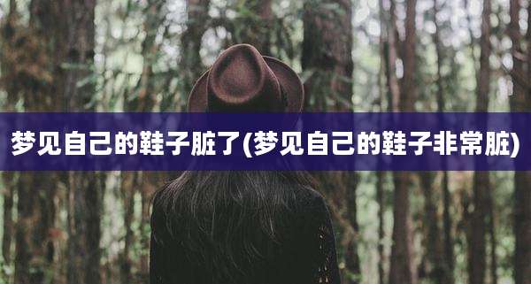 梦见自己的鞋子脏了(梦见自己的鞋子非常脏)