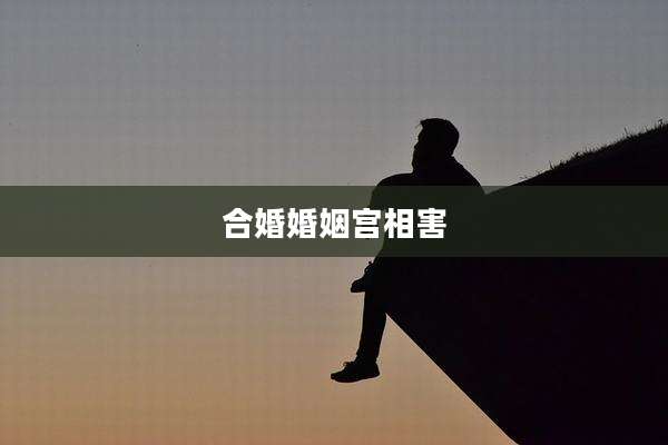 合婚婚姻宫相害