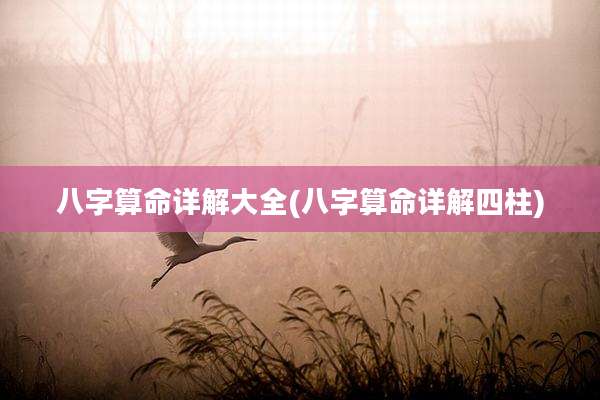 八字算命详解大全(八字算命详解四柱)