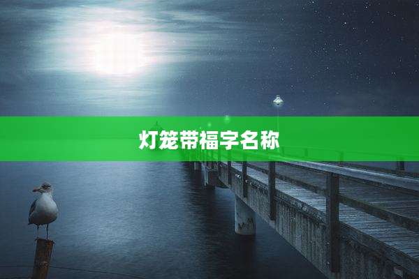 灯笼带福字名称