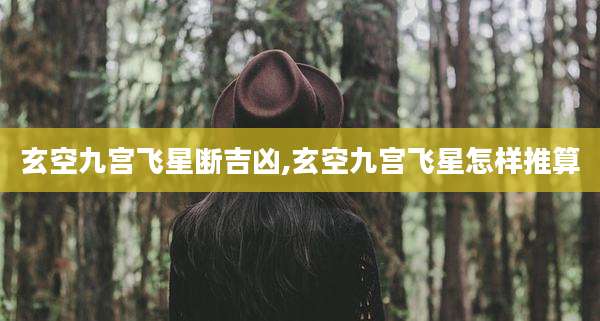 玄空九宫飞星断吉凶,玄空九宫飞星怎样推算