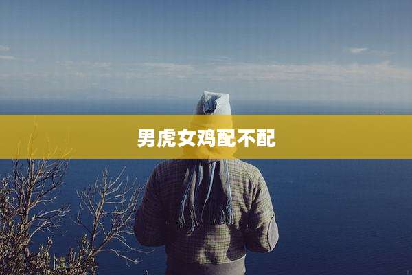男虎女鸡配不配