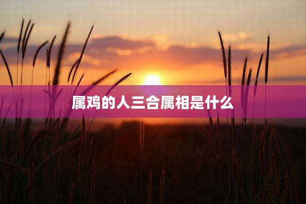 属鸡的人三合属相是什么