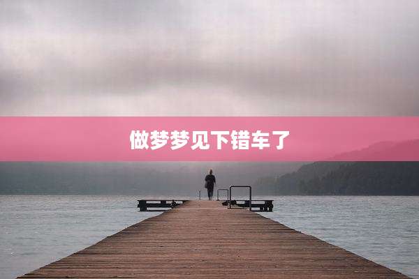 做梦梦见下错车了