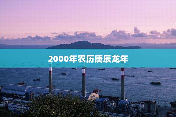 2000年农历庚辰龙年