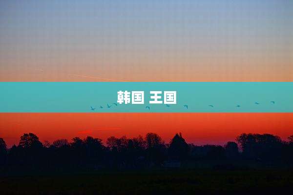 韩国 王国